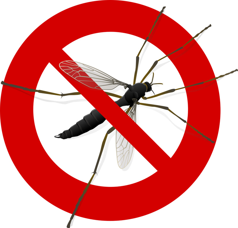solutions-anti-moustiques