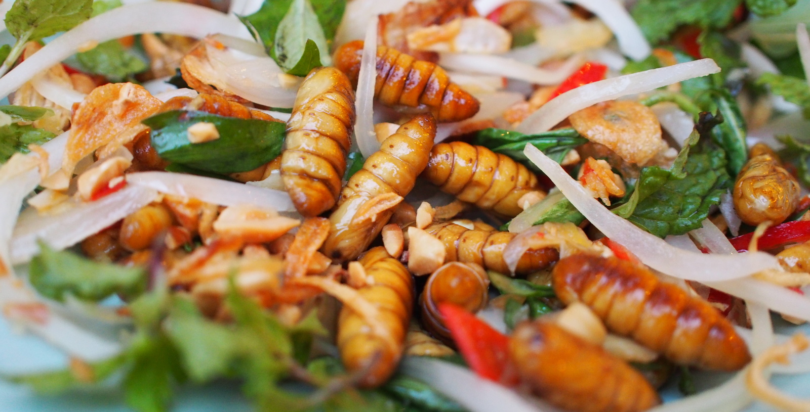 Manger des insectes pour sauver la planète, ça vous tente ? Manger des insectes pour sauver la planète, ça vous tente ?