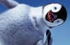 Filtre google pingouin
