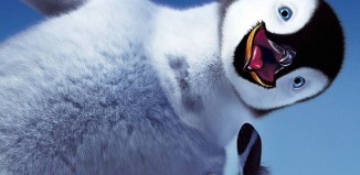 Filtre google pingouin