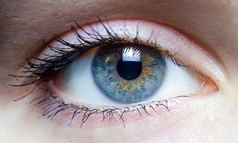 Des lunettes pour daltoniens, rêve ou réalité ? Des lunettes pour daltoniens, rêve ou réalité ?