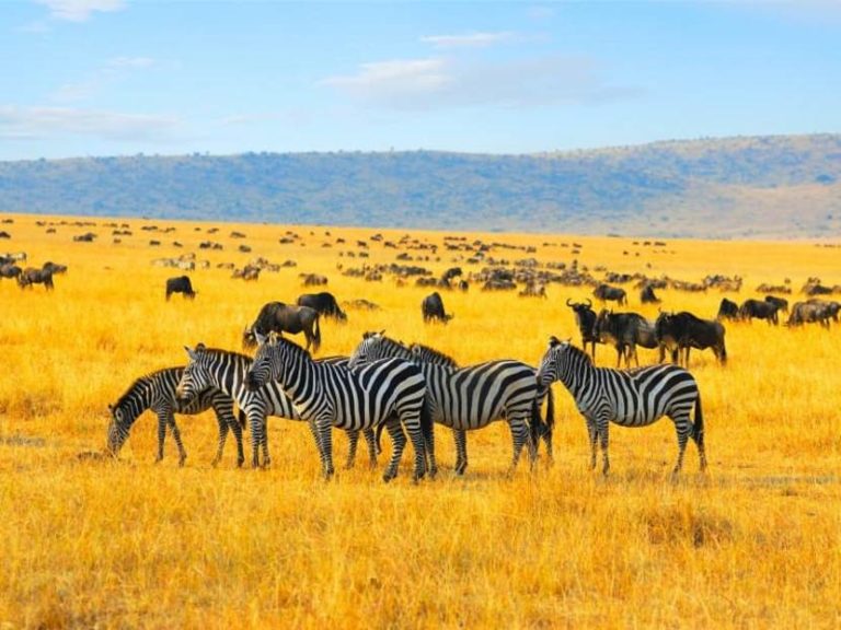 Des randonnées insolites dans la nature kenyane