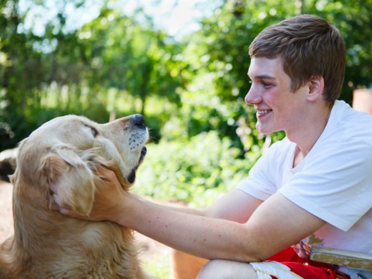 Eduquer son chien : les gestes à appliquer pour un meilleur dressage Eduquer son chien : les gestes à appliquer pour un meilleur dressage