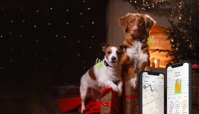 Découvrez un nouvel outil GPS pour chien ! Découvrez un nouvel outil GPS pour chien !