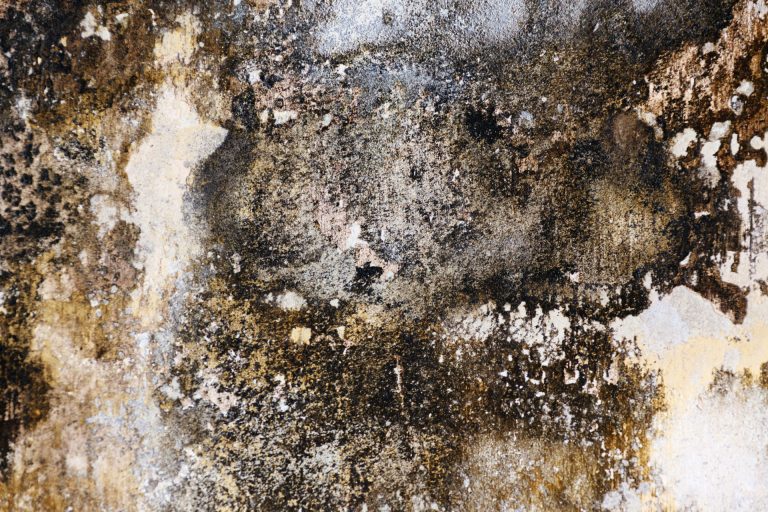 Comment détecter un excès d’humidité dans sa maison ?