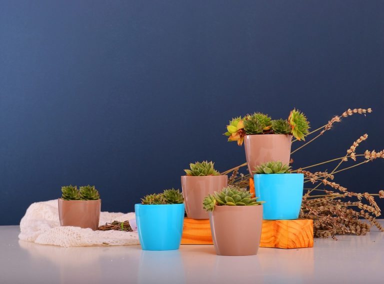 Pot de fleurs : comment bien le choisir ?