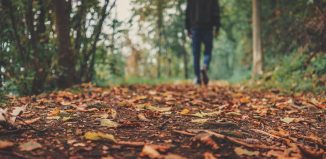 automne