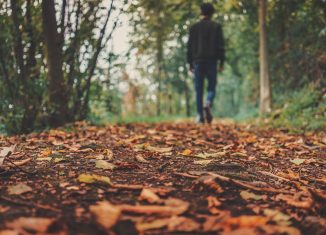 automne