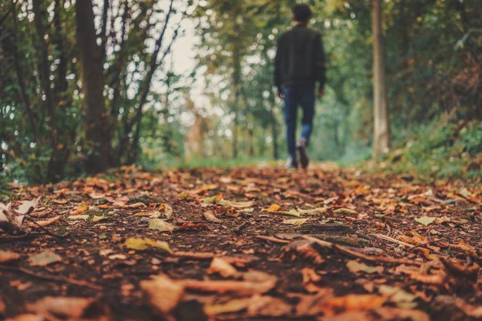 automne