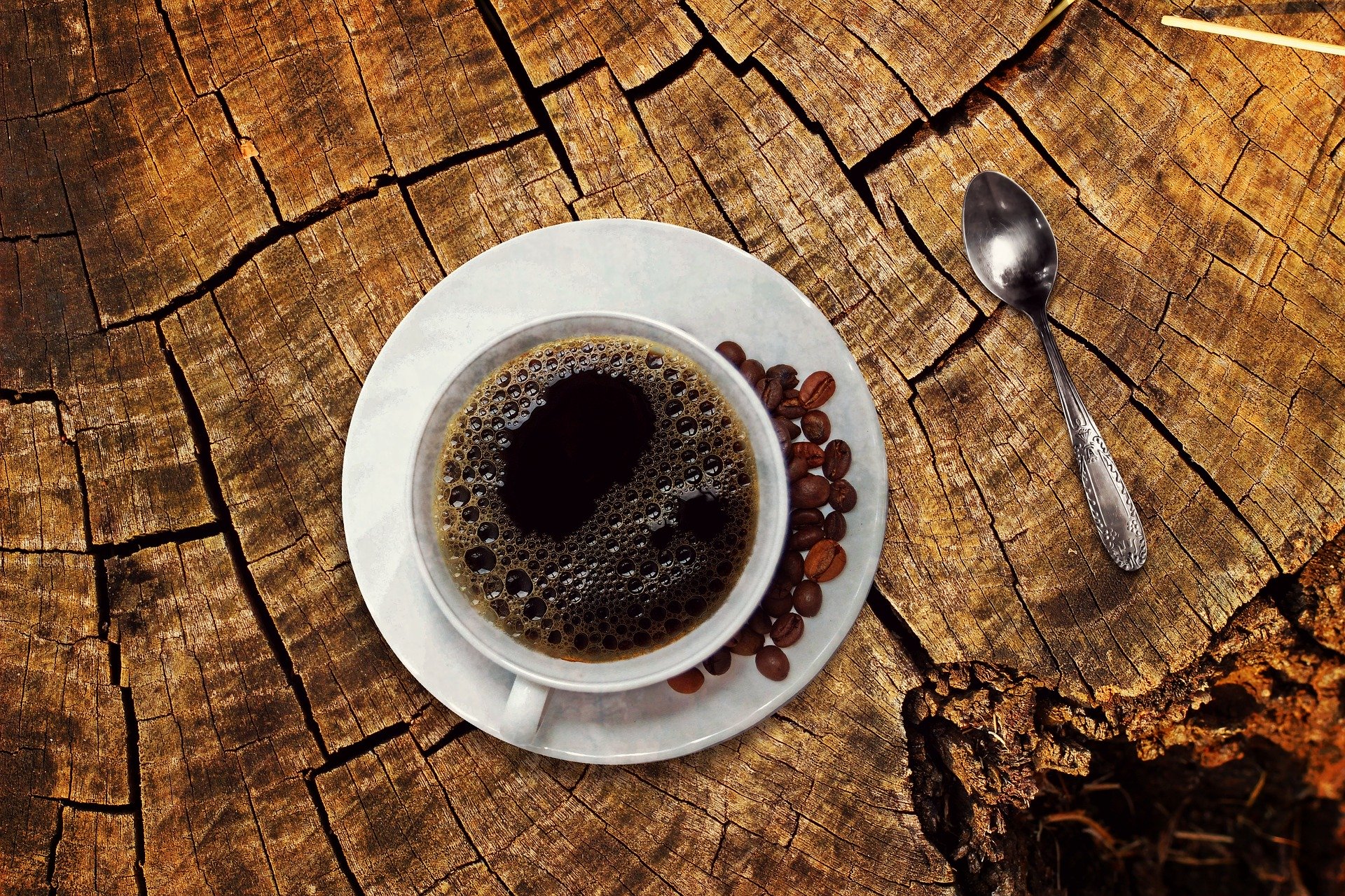 Capsule de café biodégradable