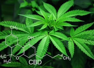 CBD