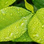 Pour quelles solutions alternatives aux déchets en plastique peut-on opter ?