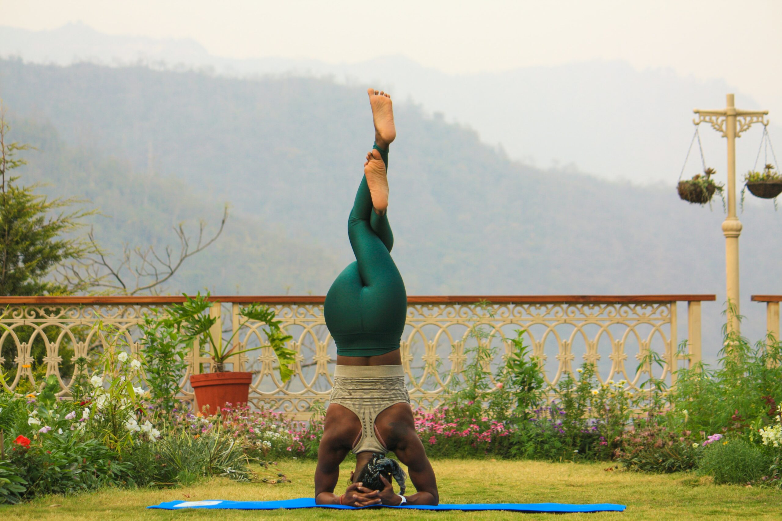 Yogi vetement online