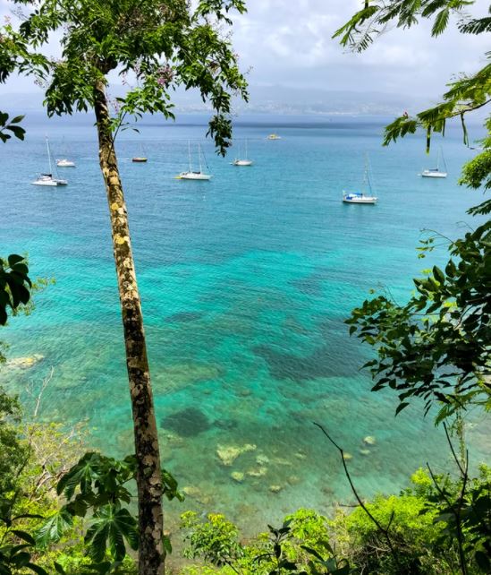 Comment louer une voiture en Martinique ? Comment louer une voiture en Martinique ?