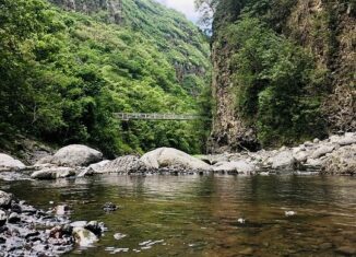 réunion
