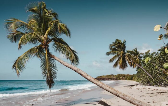 Antilles