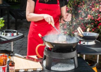 Quel wok choisir ?