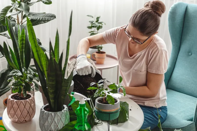 Quelles sont les meilleures pratiques pour l’entretien des plantes dans un jardin d’hiver ? Quelles sont les meilleures pratiques pour l’entretien des plantes dans un jardin d’hiver ?