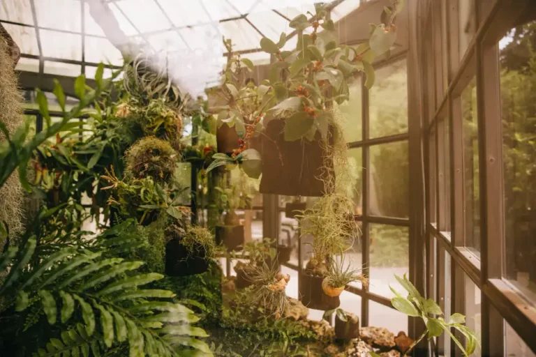 Comment aménager un jardin d’hiver pour qu’il serve aussi de serre ? Comment aménager un jardin d’hiver pour qu’il serve aussi de serre ?