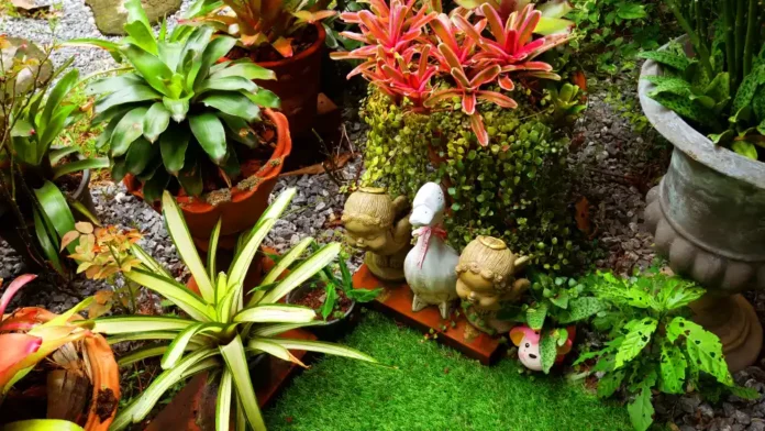 jardind 'hiver thème tropical